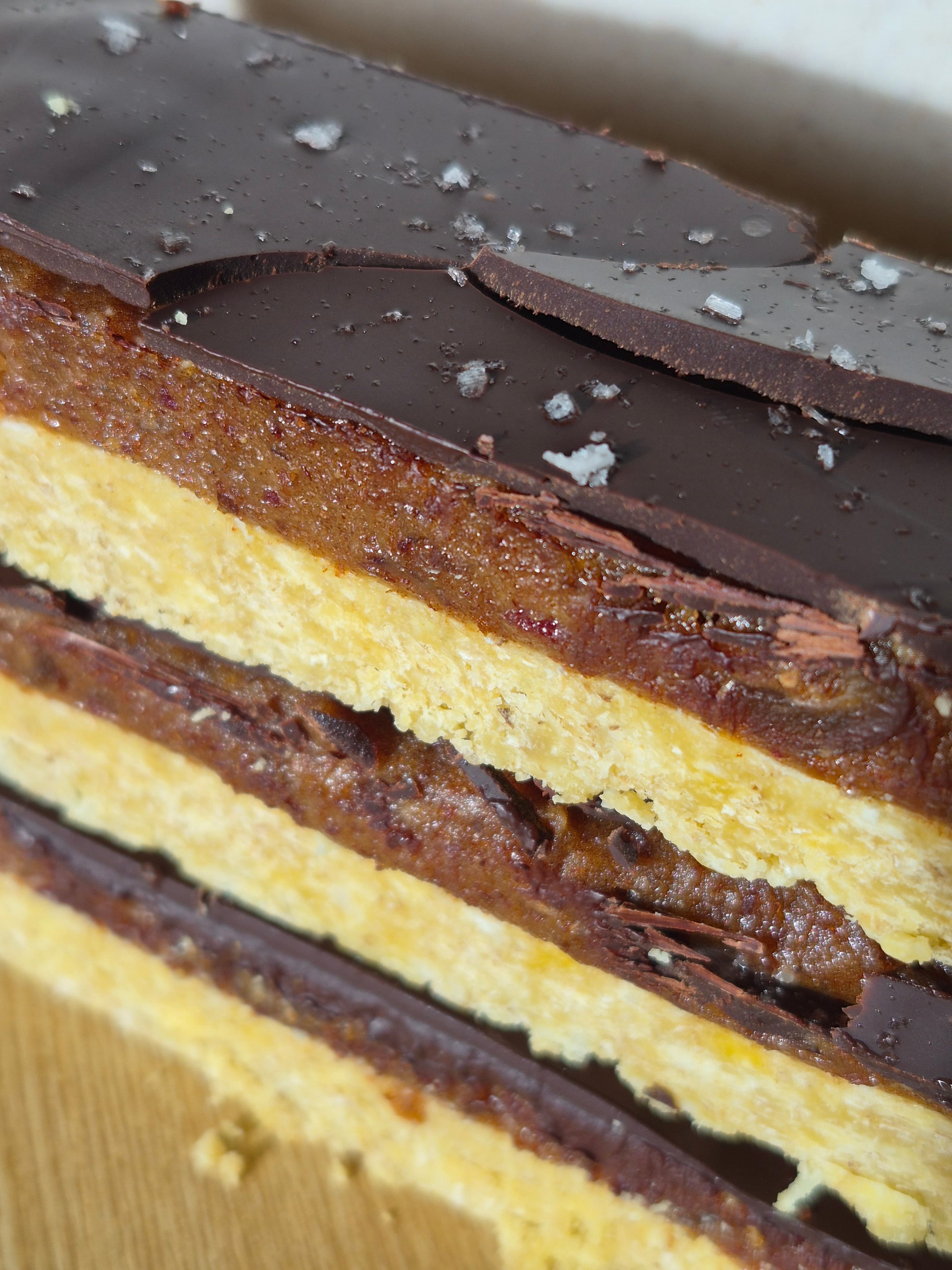 Chocolate caramel slice closeup